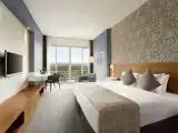 Двухместный номер Executive с балконом