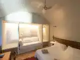 Run of House