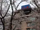 Четырёхместный номер Эконом
