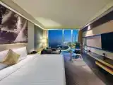 Номер Premium с видом на озеро