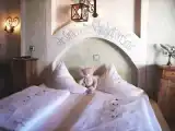 Четырёхместный полулюкс