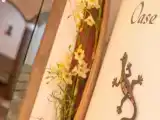 Run of House