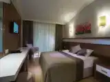 Двухместный номер Эконом с балконом