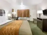Двухместный номер Business