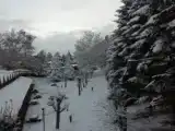 Четырёхместный семейный люкс с 2 комнатами