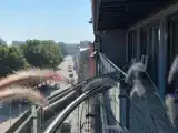 Двухместный номер Стандарт с балконом