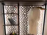 Одноместный люкс