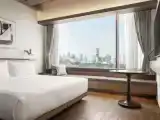 Двухместный номер Deluxe с видом на город