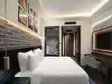 Двухместный номер Karakoy Banque Superior