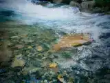 Вилла