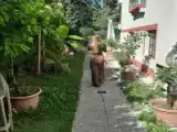 Двухместный номер Эконом Цокольный этаж