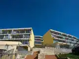 Run of House