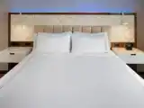 Номер Premium