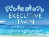 Номер Executive