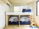 Семейный номер Стандарт