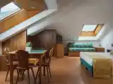 Семейный номер Стандарт с видом на горы