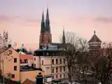 Run of House