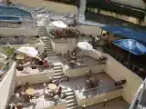 Двухместный номер Стандарт с балконом и с видом на парк