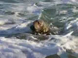 Двухместный номер Стандарт с видом на море