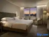 Номер Стандарт с видом на парк