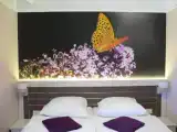 Run of House