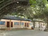 Run of House