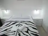 Двухместная студия