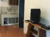 Апартаменты
