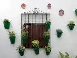 Run of House