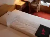 Run of House