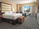 Номер с видом на парк
