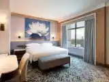 Двухместный клубный люкс Executive