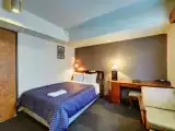 Одноместный номер Business