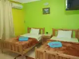 Номер Стандарт