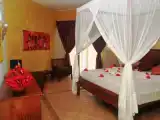 Номер Стандарт с видом на сад