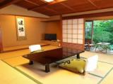 Номер Japanese style Deluxe