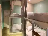 Семейный номер Стандарт с видом на улицу
