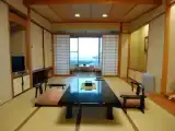 Номер Japanese Superior Town View