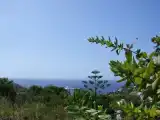 Студия