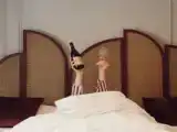 Двухместный номер Superior