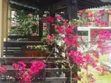 Двухместный номер Стандарт с балконом