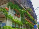 Run of House