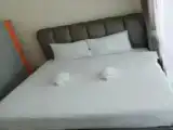 Номер Стандарт