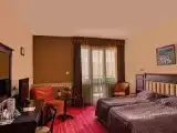 Двухместный номер Executive