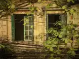 Семейный люкс с балконом и с видом на город