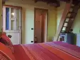 Run of House