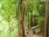 Run of House