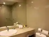 Одноместный номер Premier