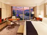 Двухместный номер Classic Pearl River View