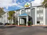 Run of House